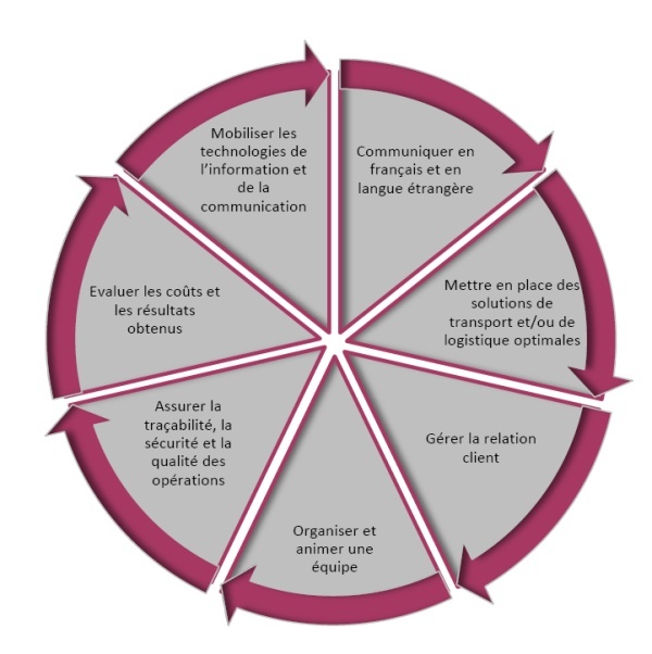 image_vous_apprendrez__602